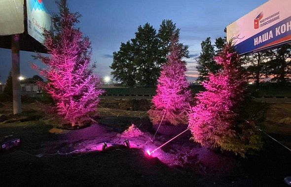 Где в Челябинске появится декоративная подсветка деревьев